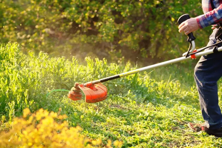 Débroussaillage Jardinier Vaucluse